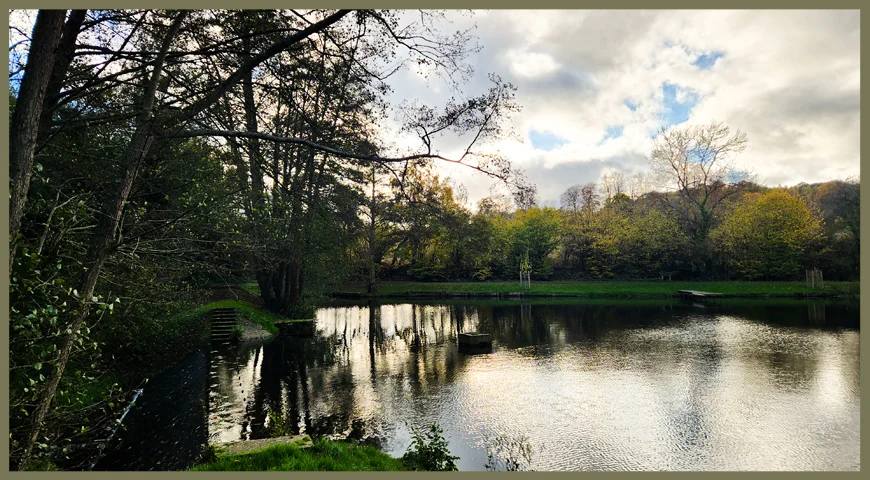 Lake Map 2 at Leigh Mill Fishing